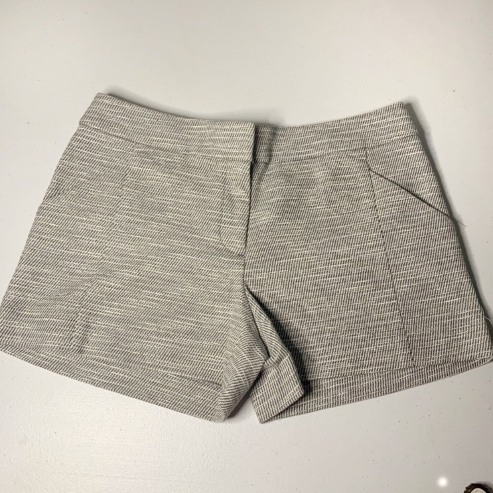 Loft Women Grey Shorts